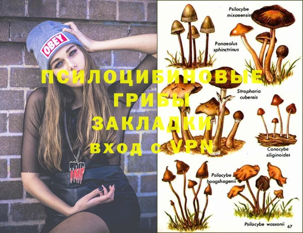 хмурый Алзамай