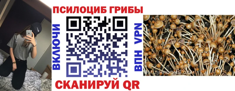 Псилоцибиновые грибы GOLDEN TEACHER Байкальск
